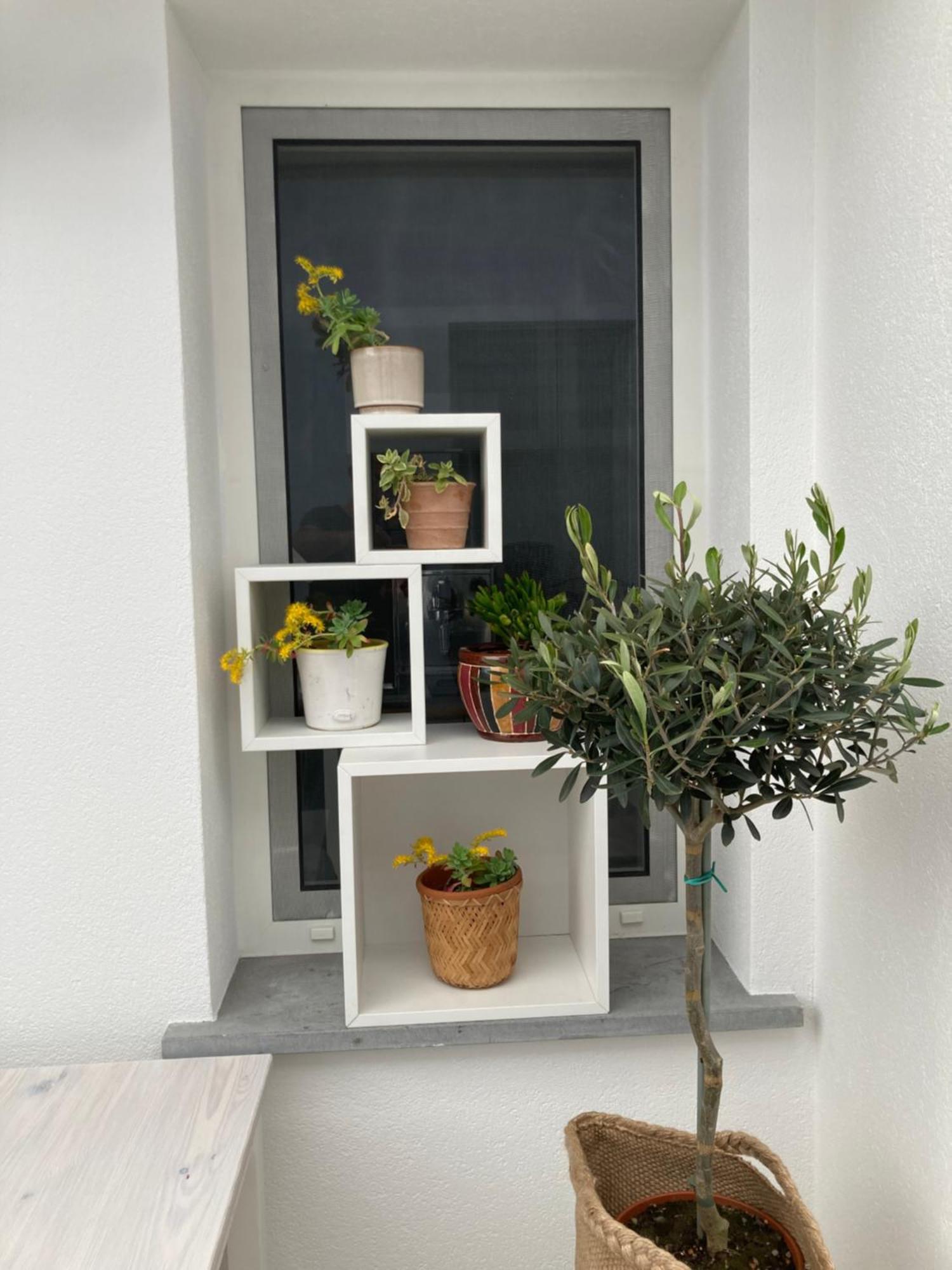 Casa di Mirea Bed & Breakfast Grado Exterior foto